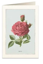 karnet-b6-koperta-6019-roza-damascenska