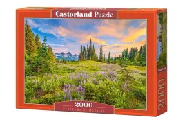 puzzle-2000-blossoms-of-morning