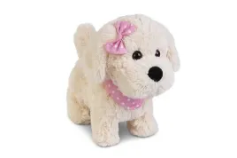 piesek-chodzacy-na-smyczy-natalia