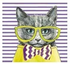 karnet-kw-kot-seledyn