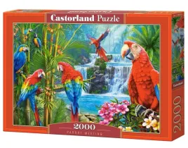 puzzle-2000-parrot-meeting-castor