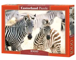 puzzle-1000-young-zebras-castor