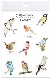 magnesy-ptaki-zyjace-w-polsce-9-sztuk-mama-maluje
