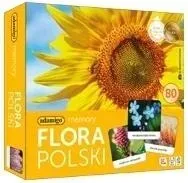 memory-flora-polski