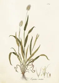 karnet-b6-koperta-dmuszek-jajowaty