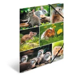 teczka-a4-gumki-narozne-gryzonie