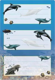 naklejki-szkolne-delfiny-6szt
