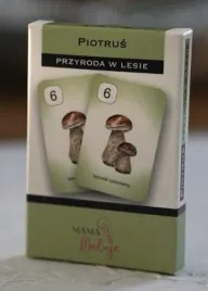 karty-piotrus-przyroda-w-lesie