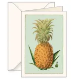 karnet-b6-koperta-5960-ananas