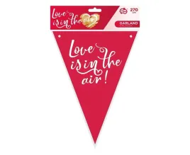 girlanda-flagi-papierowa-love-is-in-the-air-270cm