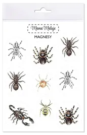 magnesy-pajeczaki