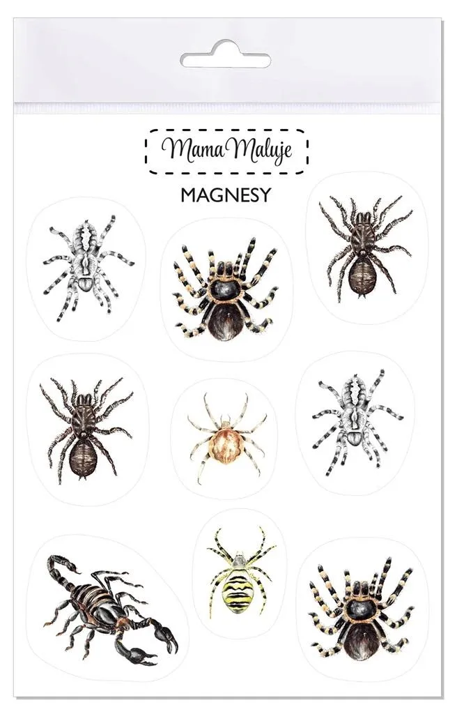 magnesy-pajeczaki