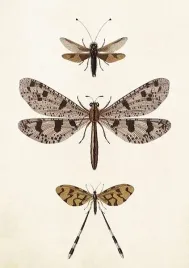 karnet-st407-b6-koperta-wazki