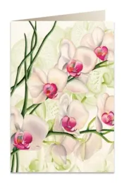karnet-b6-koperta-5723-biala-orchidea