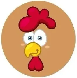 pilka-pvc-230mm-kogucik