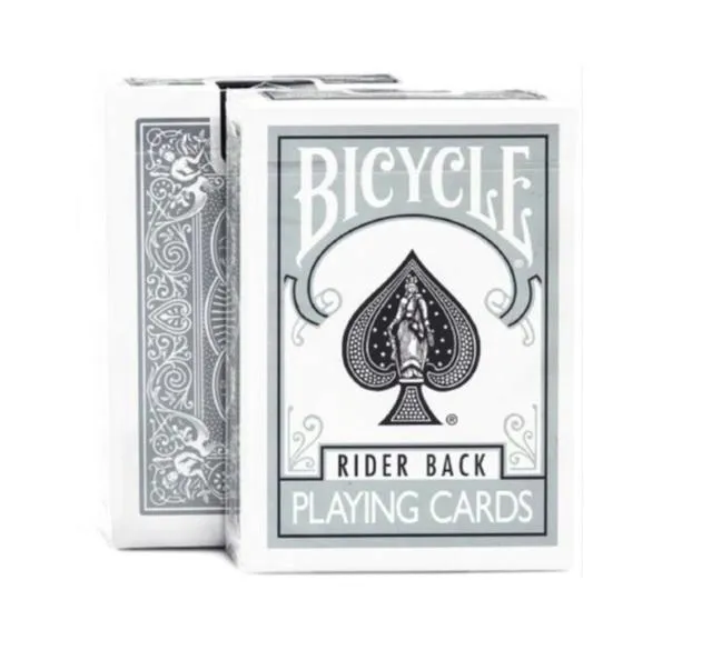 karty-rider-back-silver-bicycle