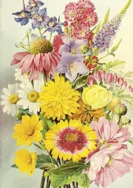 karnet-st474-b6-koperta-letnie-kwiaty