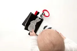 ksiazeczka-kto-to-co-to