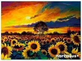 teczka-kopertowa-pp-a7-sloneczniki