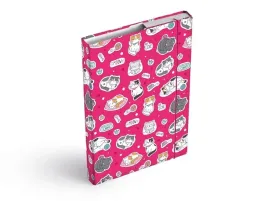 teczka-skrzydlowa-z-gumka-mfp-box-a4-cats