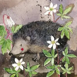 podkladka-pod-kubek-c121-jez-prickly