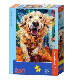 puzzle-260-euphoric-spectrum-castor
