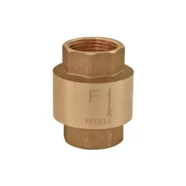 zawor-zwrotny-ferro-z-elementem-zamykajacym-gw-2-1-2-zz7w-48h