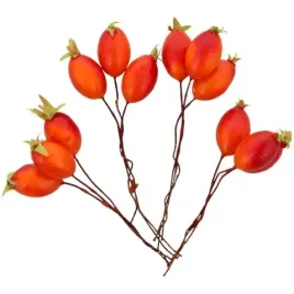 ozdoby-jesienne-owoce-piankowe-dzika-roza