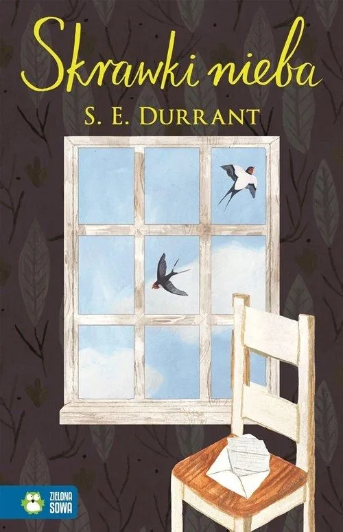 skrawki-nieba-s-e-durrant