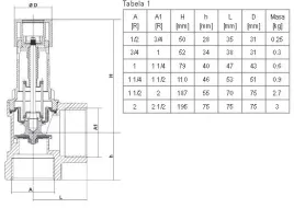 syr-zawor-bezpieczenstwa-1915-g-6-4-cala-3bar-910kw