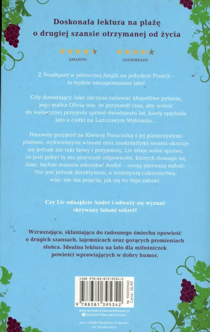 moj-goracy-francuski-romans-sue-roberts-stan-nowy