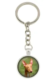 pies-faraona-chart-maltanski-brelok-twoje-zdjecie-ozdoba-do-kluczy-za