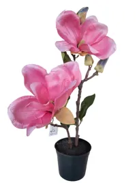 kwiat-magnolia-40cm-rozowy-w-doniczce