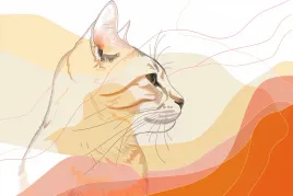 plakat-45x30cm-delikatny-profil-kota