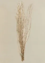 galezie-bambusa-z-oswietleniem-led