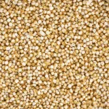 amarantus-ekspandowany-100g-stan-nowy