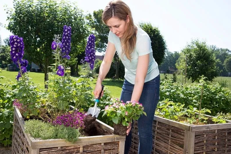 lopatka-marka-gardena