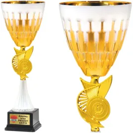 puchar-zloty-elegancki-39-cm-trofeum-sportowe-grawer-tabliczka-gratis
