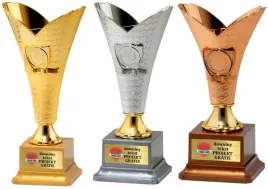 zgrabny-komplet-pucharow-zlote-srebrne-brazowe-3-szt-21cm-grawerki-gratis