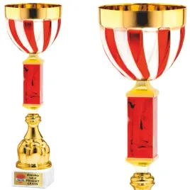 patriotyczny-puchar-zloty-z-barwami-narodowymi-polski-38-cm-grawer-gratis