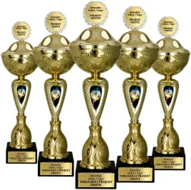 komplet-pucharow-z-pokrywka-siatkowka-pilka-siatkowa-5-szt-42-40-36-33-32cm