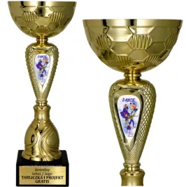 super-metalowy-zloty-puchar-taniec-towarzyski-29-cm-personalizacja-gratis