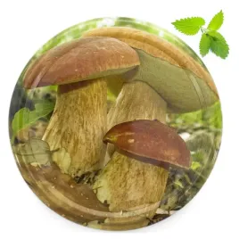 zakretki-82-6-wieczka-10szt-grzyby-g-01-nakretki-pokrywki-nakretka-sloiki