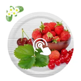 zakretki-66-4-wieczka-10szt-owoce-o-04-nakretki-pokrywki-do-sloikow