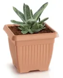 doniczka-terra-terakota-ksztalt-kwadratowy