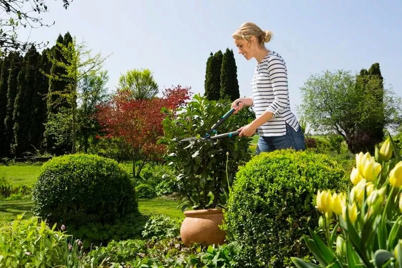 nozyce-do-zywoplotu-marka-gardena