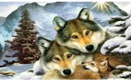 diamentowa-mozaika-wilki-rodzinka-zima-no-1005263