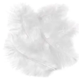 piora-indycze-biale-15-cm-5-szt