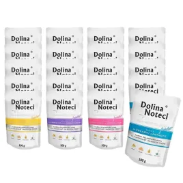 dolina-noteci-premium-dla-malych-ras-junior-mix-20x100g