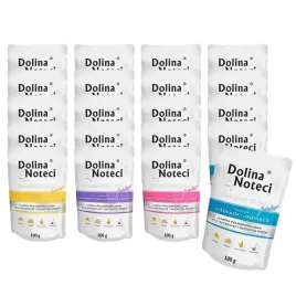 dolina-noteci-premium-dla-malych-ras-junior-mix-20x100g